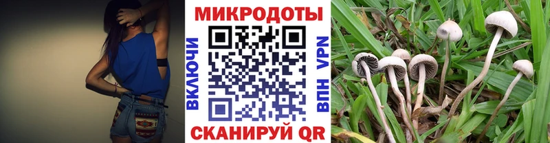 Псилоцибиновые грибы Psilocybe  Семёнов 